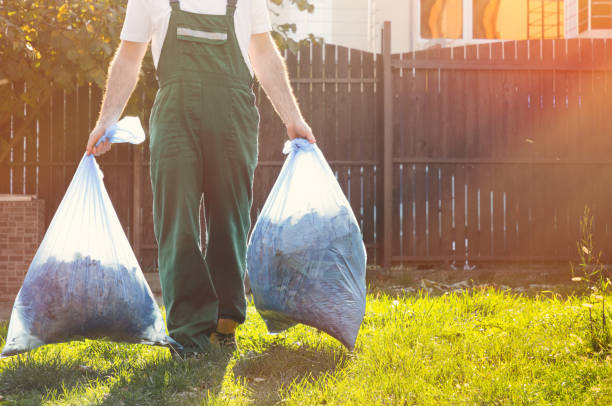 Best Basement Cleanout Services  in Wilmington, NC